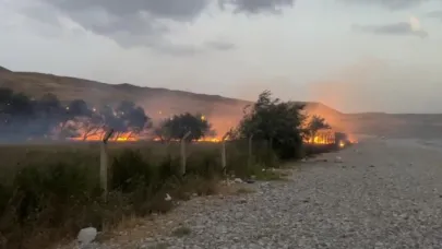 Ağaçlık alanda yangın