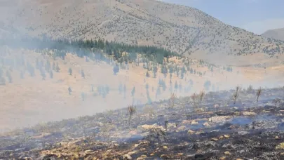 Ormanlık alanda yangın