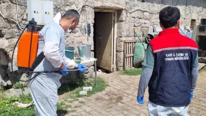 Sarıkamış’ta şap hastalığına karşı ilaçlama çalışması sürüyor
