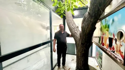 İş yerinin içindeki asırlık ağaç görenleri şaşırtıyor