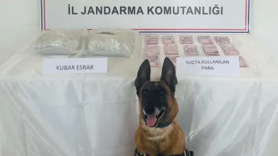 1 kilo 782 gram esrar maddesi ele geçirildi