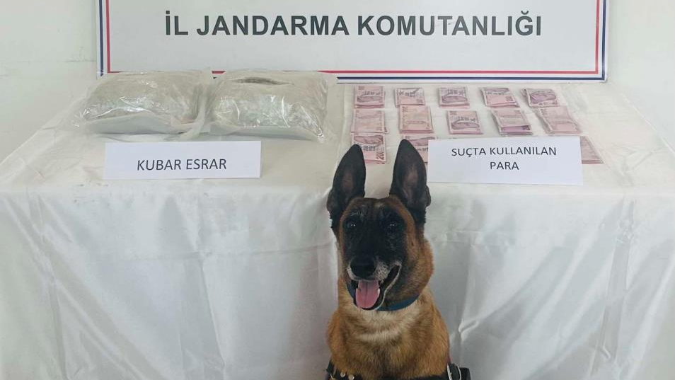 1 kilo 782 gram esrar maddesi ele geçirildi
