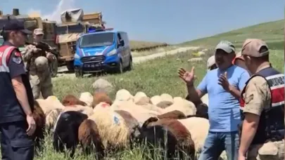 Kaybolan 65 küçükbaş hayvan bulundu