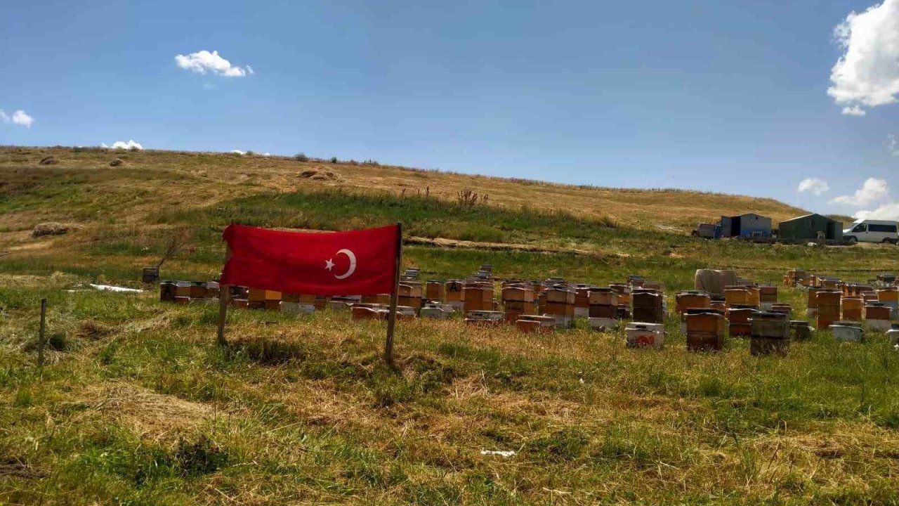 Ağrı ay yıldızlı bayraklarla donatıldı