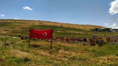 Ağrı ay yıldızlı bayraklarla donatıldı
