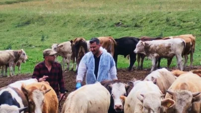 65 bin doz aşı yapıldı