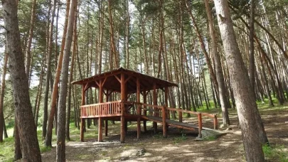 Ardahan’da ormanlara giriş yasaklandı