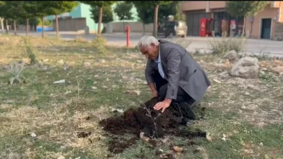 Diyadin’de geleneksel koyun kırkımı devam ediyor