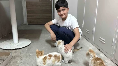 Öğrenciler yavru kedilere sahip çıktı