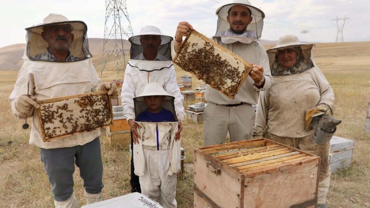 Kotan ailesi, üretimden vazgeçmiyor