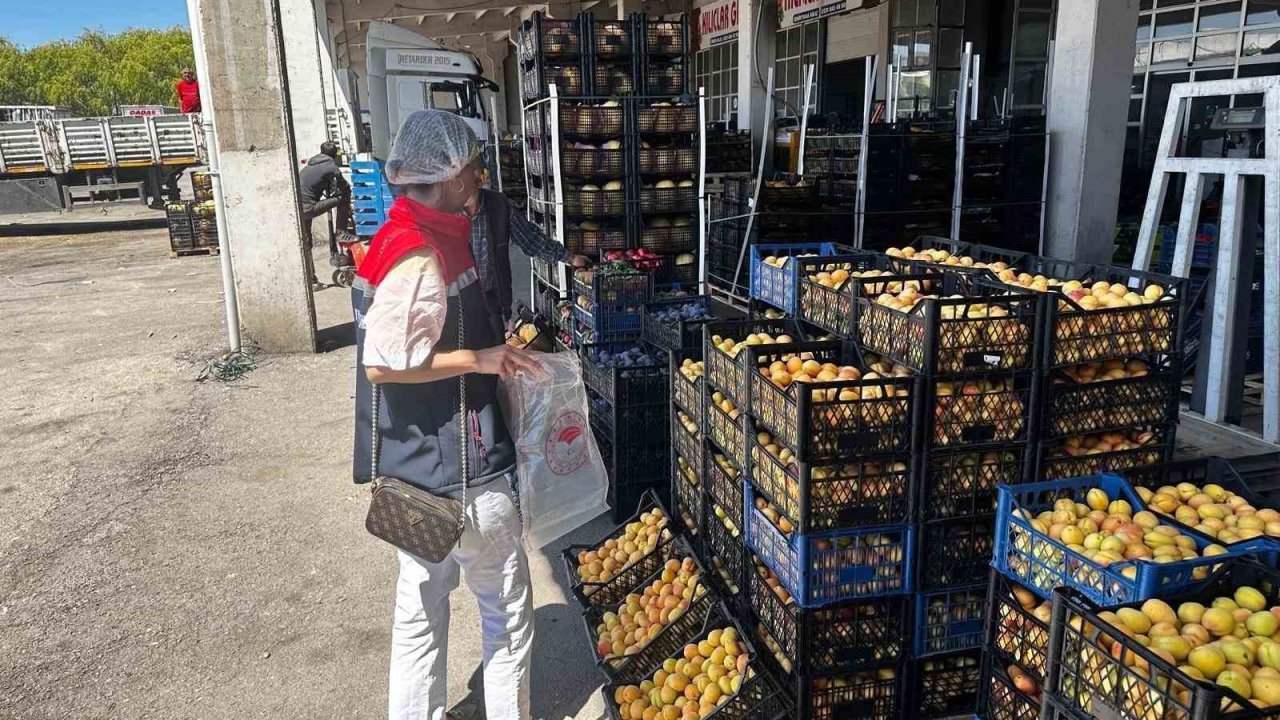 Erzurum’da gıda denetimleri