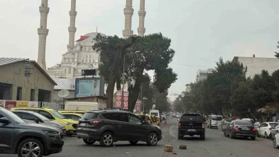 Iğdır’da kuvvetli fırtına hayatı olumsuz etkiledi