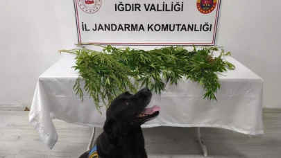 Iğdır’da jandarmadan uyuşturucu operasyonu: 1 tutuklama