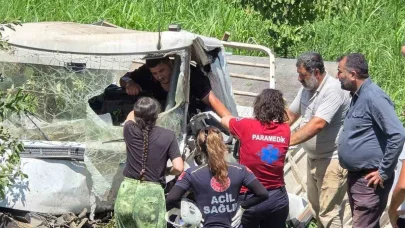 Süt toplama kamyoneti şarampole yuvarlandı