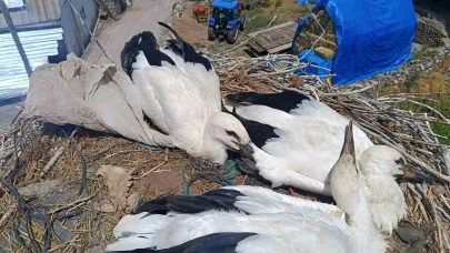 İtfaiyeden leyleğe uzanan şefkat eli