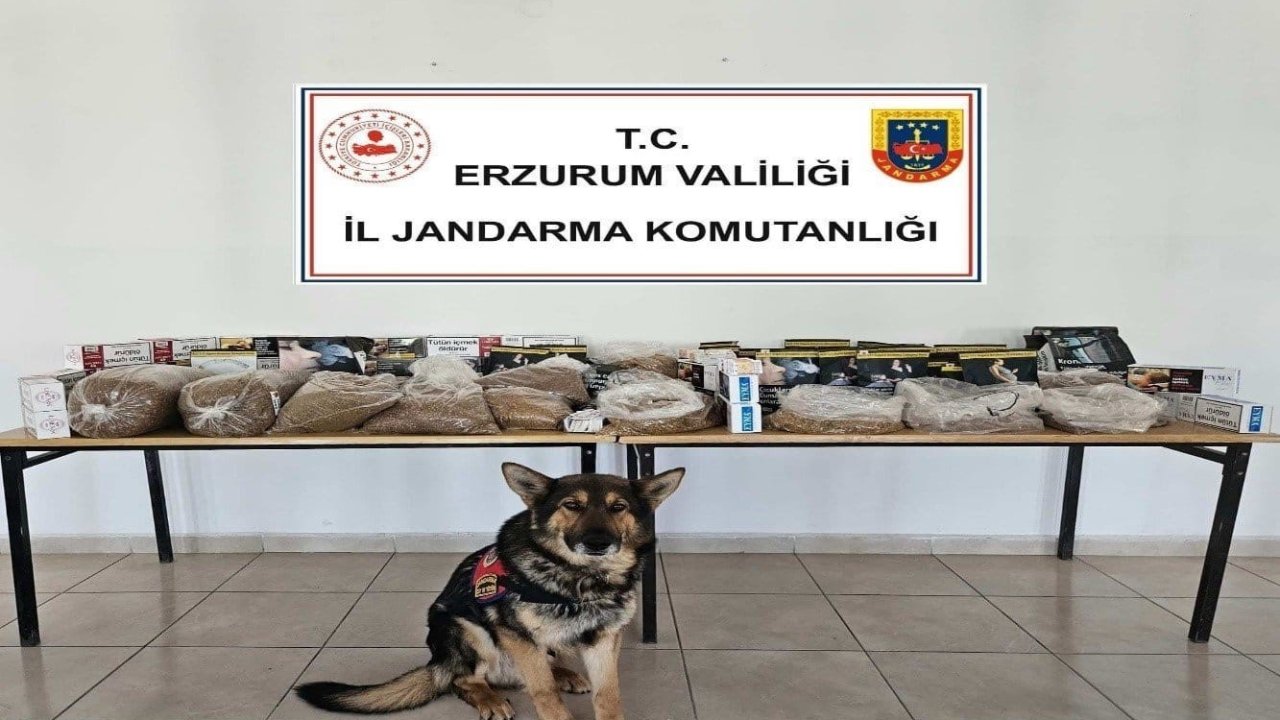 Erzurum Jandarmadan kaçakçılara operasyon