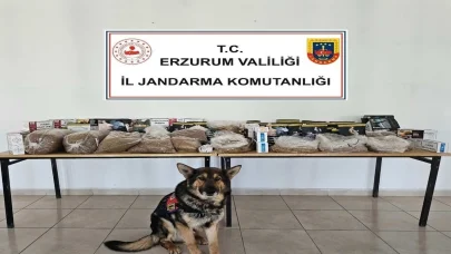 Erzurum Jandarmadan kaçakçılara operasyon