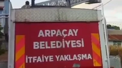 Kars’ta yuvadan düşen yavru leylek, yeniden yuvasına konuldu