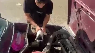 Otomobilin motor bölümünde sıkışan yavru kedi kurtarıldı