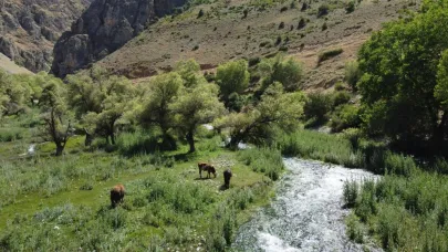 9 kaynak suyu ile birleşen gözeler keşfedilmeyi bekliyor