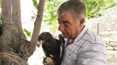 Bahçesine gelen kaya kartalı ile dostluk kurdu