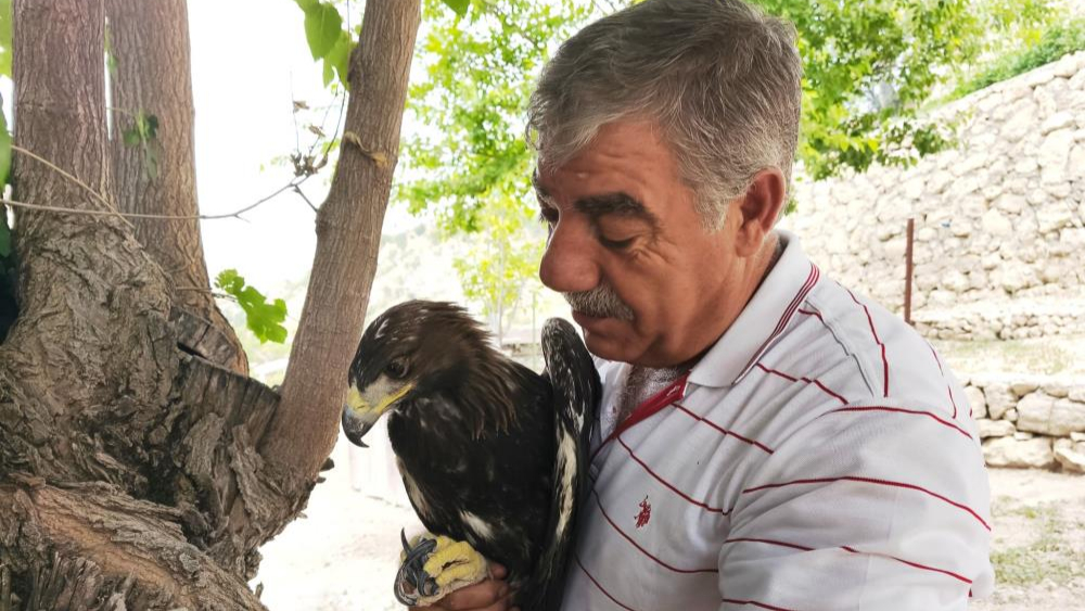 Bahçesine gelen kaya kartalı ile dostluk kurdu