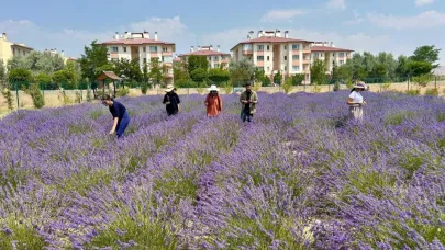 Van YYÜ’de 10 yılda 300 tür bitki yetiştirildi