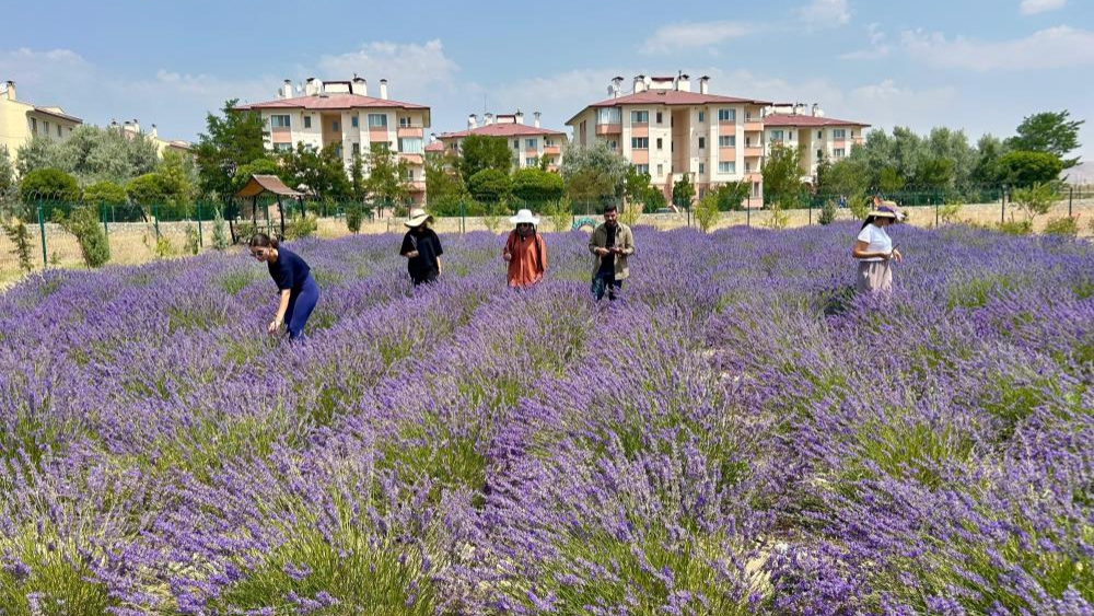 Van YYÜ’de 10 yılda 300 tür bitki yetiştirildi