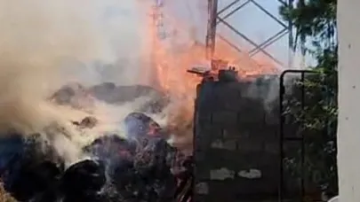 Kopan elektrik kablosu yangına neden oldu