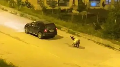 Eşeği arabaya bağlayıp çekerek götürenlere ceza