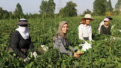 "Güneşle başlayıp güneşle bitiriyoruz"