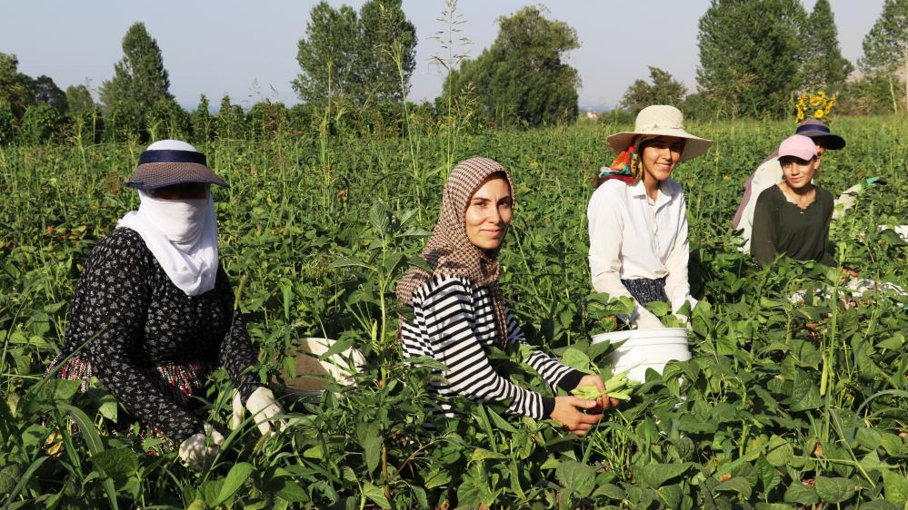 "Güneşle başlayıp güneşle bitiriyoruz"