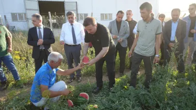 Karpuzlar hasadı yüzleri güldürüyor