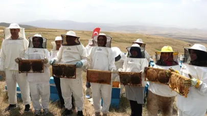 Ağrı'da geven balında hasat zamanı