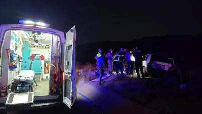Otomobil ata çarptı: 2 yaralı