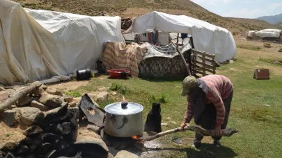 Göçerlerin yayla mesaisi sürüyor