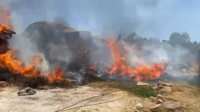 Tarihi yapı alevlere teslim oldu