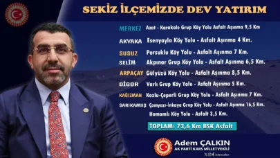 Çalkın: 8 ilçede BSK asfalt çalışması başlıyor
