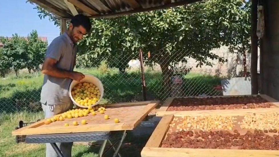Güneşte kurutulan meyveler pazarda satılıyor