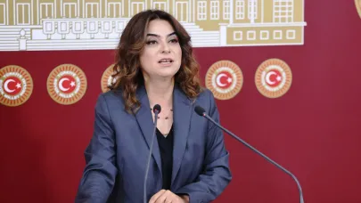 Kars’ta köpeklere uygulanan vahşet, Koçyiğit ile TBMM gündeminde