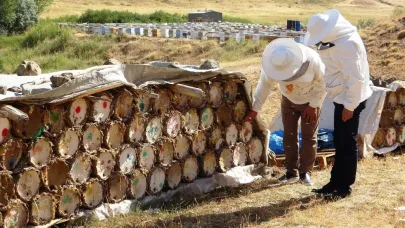 "Küresel ısınma bal veriminde düşüşe neden oluyor"