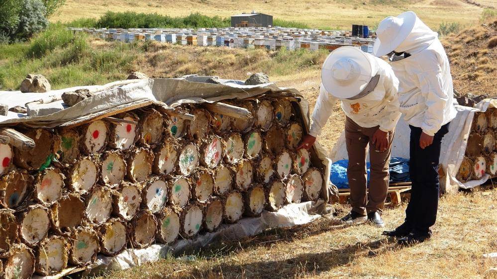 "Küresel ısınma bal veriminde düşüşe neden oluyor"