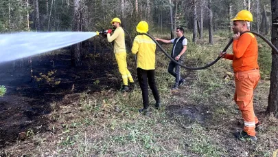 Sarıkamış'ta çıkan örtü yangını söndürüldü