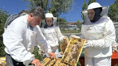 Coğrafi işaretli Ardahan çiçek balının hasadı başladı