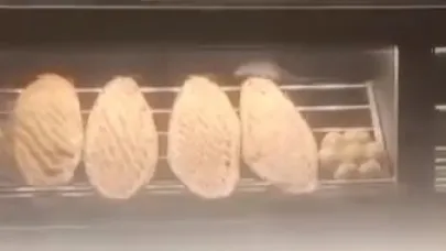 Fare ekmeklerin üstünde gezerken görüldü