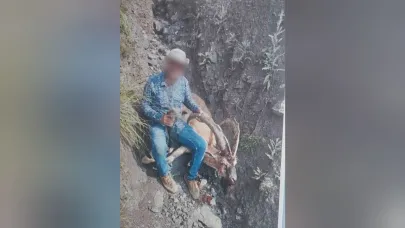 Yaban keçisi avladı, 650 bin lira ceza ödedi