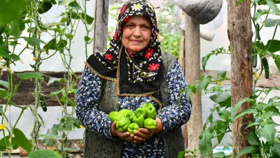Sarıkamış'ta bahçesinde kurduğu serada organik sebze yetiştiriyor
