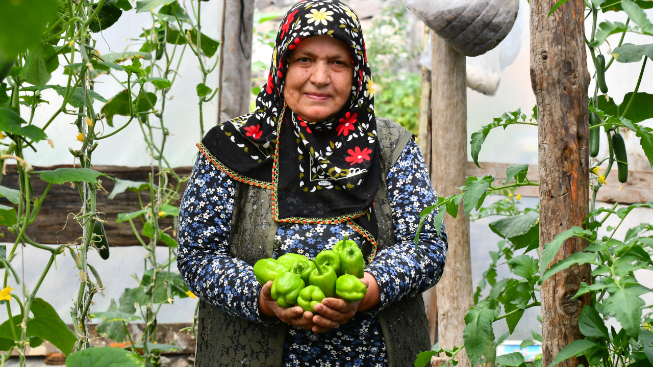 Sarıkamış'ta bahçesinde kurduğu serada organik sebze yetiştiriyor