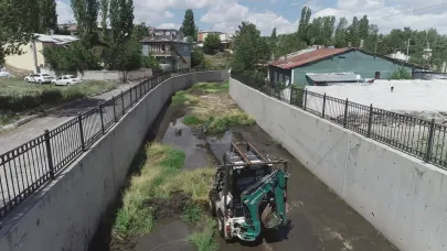 DSİ, Kars Çayı ve derelerde temizlik çalışmalarına başladı