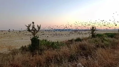 Kars’ta karga istilası devam ediyor